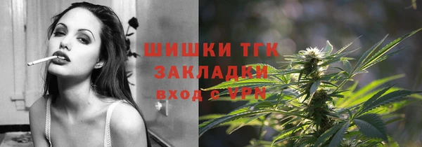 стафф Арсеньев