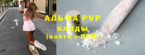 стафф Арсеньев