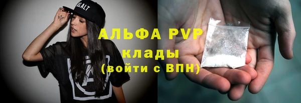 стафф Арсеньев