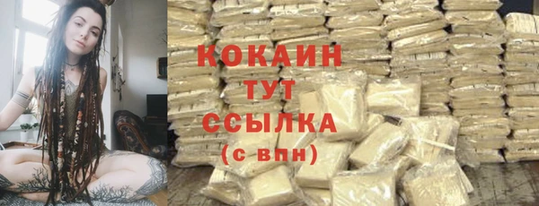 стафф Арсеньев